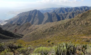 Mountains of SW Anaga, Tenerife