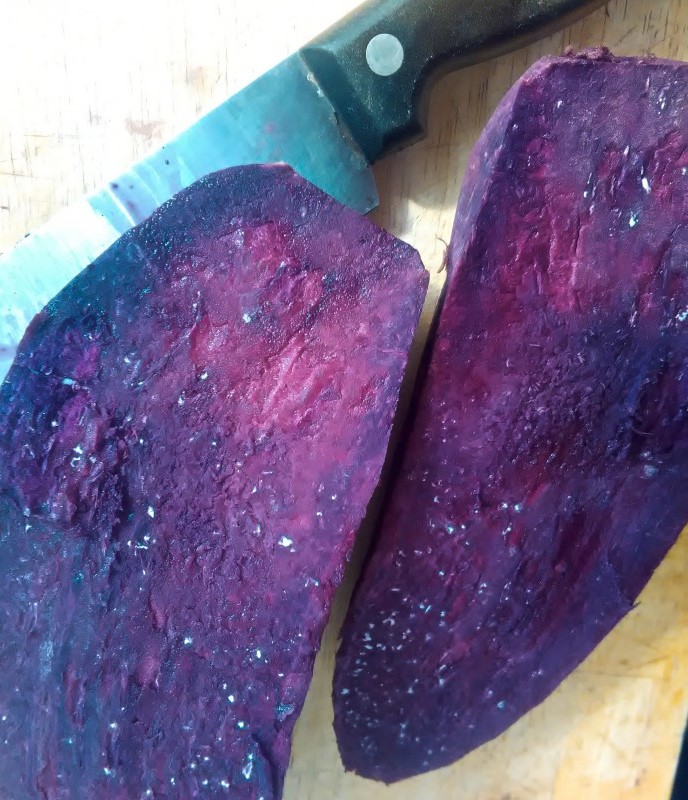 Ipomoea batatas-molokai-oscuro-Púrpura-batata
