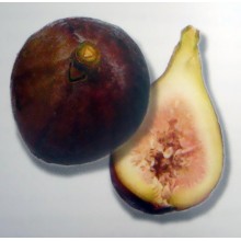 Ficus carica 'Tarajala' - Canary Islands Fig