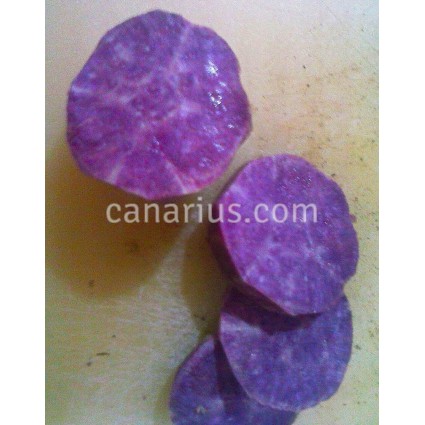 Ipomoea batatas 'Okinawa' - Okinawan Purple Sweet Potato