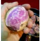 Ipomoea batatas 'Okinawa' - Okinawan Purple Sweet Potato