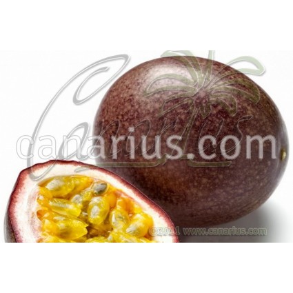 Passiflora edulis 'Rubi  do Cerrado F1'- Purple Passionfruit
