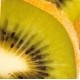 Actinidia deliciosa 'Jenny' - Self-fertile Kiwi