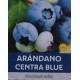Vaccinium ashei 'Centra blue'